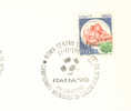 1986 Italia  Roma  Football Soccer Calcio Italia 90 - 1990 – Italien