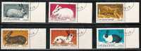 BULGARIE - 1986 - Lapins De Races Diverses - 6v Obl. - Rabbits