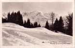 74 - Assy-Passy - Champs De Ski Et Le Mont-Blanc - Passy