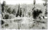 72.  ST-LEONARD-DES-BOIS. BORDS DE LA SARTHE. LE PONT. BEAU PLAN. - Saint Leonard Des Bois