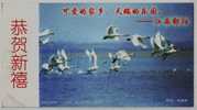 Fairyland Of Swan Bird,China 2005 Poyang New Year Greeting Pre-stamped Card - Cygnes