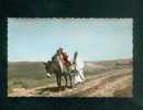 Algerie - Ouargla ( Territoire De Touggourt ) Rencontre Sur La Piste ( Animée âne Ou Mulet    JOMONE 1250 A Format CPA) - Ouargla