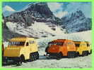 JASPER, ALBERTA - COLUMBIA ICEFIELD - SNOWMOBILES - - Jasper