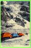 JASPER, ALBERTA - COLUMBIA ICEFIELD - SNOWMOBILES - HARRY ROWED - - Jasper