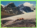 JASPER, ALBERTA - ATHABASCA GLACIER - SNOWMOBILES - ANIMATED - - Jasper