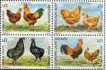 URUGUAY STAMP MNH Chicken Rooster Hen SCOTT   #1911 - Boerderij