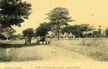 HAUTE- GUINEE . KANKAN . AVENUE DE SIGUIRI . - Guinea Francese