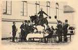 HIPPISME..ECOLE DE CAVALERIE...SAUMUR..CARROUSEL.. CHEVAL.. - Hippisme