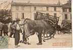 CHARENTE..Croquis De.. Foire ..Marchand..Marché Au Bestiaux..Vache..Traite  De Lait - Altri & Non Classificati