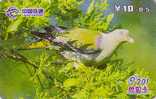 Télécarte Chine - ANIMAL - OISEAU -  PIGEON COLOMBE Tourterelle - DOVE BIRD China Tietong Phonecard - TAUBE Vogel - 49 - Chine