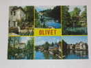 (138) -1- Carte Postale Sur Olivet Dans Le Loiret - Beaugency