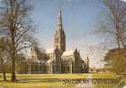 Salisbury Cathédrale Wiltshire Années 1950 ? Belle Carte Couleur "pte Cornes En Coin En Bas G Et D" - Salisbury