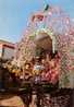 Espagne - Andalucia - Romeria Del Rocio - Almería