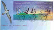 Christmas Island  1993  Seabirds  Of  Christmas  Island  MS FDC - Christmas Island