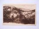 Algerie - BLIDA  - Col De Chréa - Le Ravin Bleu   1920´s  VF  D23345 - Blida