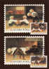 6117  -  Finlande 1981 Carte Maximum - Tarjetas – Máximo