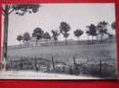 93 - ROMAINVILLE - Vue Du Fort De Noisy-le-Sec. - Romainville