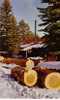 Canada - Sawmill In The Wintertime - Andere & Zonder Classificatie