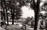 CHATEAUBRIANT Etang De La Torche - Châteaubriant