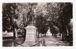 FERNAY-VOLTAIRE (Ain) : Avenue De La Mairie Et La Statue De VOLTAIRE ; B/TB - Ferney-Voltaire