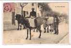 ATTELAGE  De Boeufs Au Pays Basque * Belle CPA Animée,- Cachet 1904 - Wagengespanne