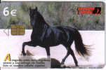 Spain-arrogante(caballo Espanol-tirage-251.000-6/04-12/06-used Card(6 Euro)+1card Prepiad Free - Paarden