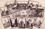 SOUVENIR DE CHATILLON COLIGNY - Chatillon Coligny