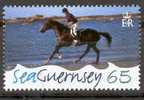 GUERNESEY EQUITATION - Hípica