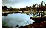 Colob Bechar - Le Barrage Sur L´oued - Couleur - Bechar (Colomb Béchar)