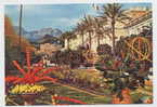 Très Belle Carte - (Côte D'Azur) MENTON Cité Des Fruits D'Or - Fêtes Du Citron Dans Les Jardins Biovès - Karneval - Fasching