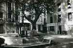 B - 66 - CERET - N° 1558 - La Fontaine - Ceret