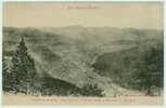 Vallée De MUNSTER - Vue Prise De La Route Entre  La Schlucht Et Munster - Munster