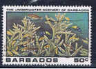 BDS+ Barbados 1980 Mi 516 - Barbades (1966-...)