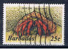 BDS+ Barbados 1985 Mi 622 Einsiedlerkrebs - Barbades (1966-...)
