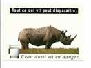 Rhinoceros: Tout Ce Qui Vit Peut Disparaitre, L´ Eau Aussi Est En Danger, Photo Reynard - Stock Image (08-1762) - Rhinocéros