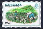 BS+ Bahamas 1980 Mi 463 Ananasplantage - Bahama's (1973-...)