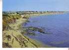 BRETIGNOLLES SUR MER -  La Plage De La Parée  - N° 8 - Bretignolles Sur Mer