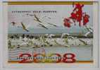 Swan Bird Take-off,hometown Of Cultured Pearl,kingdom Of Migratory Bird,CN 08 Duchang New Year Pre-stamped Letter Card - Swans