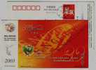 Cartoon Honeybee,insect,bee,China 2003 English Weekly Newspaper Advertising Pre-stamped Card - Bienen