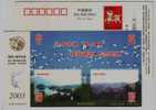 Crane Bird,egret Bird,China 2003 Yongxiu Tourism Landscape Advertising Pre-stamped Card - Kranichvögel
