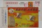 Red Crowned Crane,bird,China 2000 Nanjing No.2 Pharmaceutical Factory Advertising Pre-stamped Card - Kraanvogels En Kraanvogelachtigen