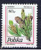 PL+ Polen 1995 Mi 3531 OG Tannenzapfen - Used Stamps