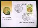 EGYPT COVERS > FDC > 2006 >   GENERAL ACCOUNTING - Altri & Non Classificati