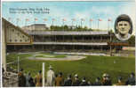 Polo Grounds New York City Baseball Field Stadium, New York Giants MLB Team, Vintage Postcard - Baseball