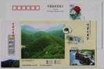 Gougunao Green Tea Mountain,teapot,China 2003 Ji'an Landscape Advertising Pre-stamped Card And Hot Spring Waterfall - Altri & Non Classificati