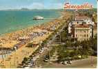 3242 - SENIGALLIA (ANCONA) - Spiaggia - Senigallia