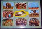 Africa,Kenya,Tribe,Folklore,Customs,Animals,Wild,Multipicture,postcard - Kenya