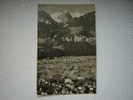 Meiringen.c.p.photo.14x9 - Meiringen