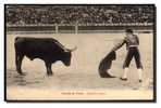 Corrida De Toros, Entrando A Matar, Toréador,  Taureau, épée, Ed E. Pacault à Biarritz, Voyagé - Tauri