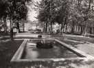 82 - CAUSSADE -- La Promenade  CPSM  Grd Format    Année  1960  édit APA POUX - Caussade